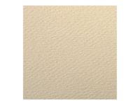 Clairefontaine - Papier dessin couleur à grain - feuille 50 x 65 cm - lichen