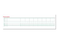 Exacompta - Piqûre tête paresseuse - 20 colonnes sur 2 pages - 27 x 32 cm