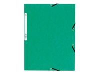 Exacompta Nature Future - 10 Chemises à 3 rabats - A4 - pour 250 feuilles - vert