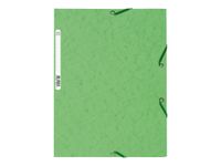 Exacompta Nature Future - Chemise à 3 rabats - A4 - pour 250 feuilles - tilleul