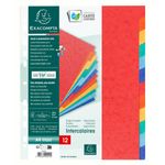 Exacompta Nature Future - Intercalaire 12 positions - A4 Maxi - carte lustrée colorée