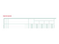 Exacompta - Piqûre comptable - 15 colonnes sur 2 pages - 32 x 25 cm - 80 pages