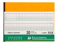 Exacompta - Piqûre comptable - 30 colonnes sur 2 pages - 25 x 32 cm - 80 pages