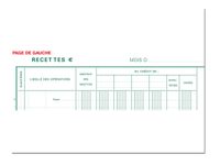 Exacompta - Journal de caisse ou banque - 10 colonnes : 5 débits/5 crédits - 32 x 19,5 cm vertical