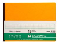 Exacompta - Piqûre comptable - 15 colonnes par page - 28 x 38 cm - 80 pages