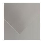 CANSON Iris Vivaldi - Papier Dessin Couleur - Lisse - 280 g/m² - Feuille - 50x65cm - Argent