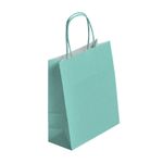 50 Sacs cadeau kraft - poignées torsadées - 35 cm x 14 cm x 40 cm - vert d'eau