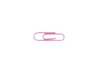 Sign - 600 Trombones attache-lettres - 28 mm - couleurs assorties