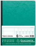 Exacompta - Piqûre comptable - 6 colonnes par page - 32 x 25 cm - 80 pages - vert