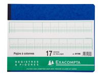 Exacompta - Piqûre comptable - 17 colonnes par page - 25 x 32 cm - 80 pages
