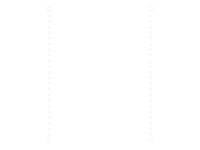 Exacompta - Papier listing blanc - 2000 feuilles 240 mm x 12" - bandes Caroll détachables - microperforations 4 côtés - 80gr