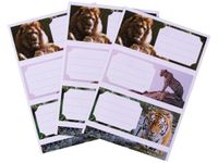 Apli Jungle - 9 Étiquettes scolaires - 36 x 81 mm