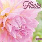 Calendrier illustré BOUCHUT 30 x 30 cm FLEURS Pefc 70 %