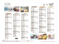 Quo Vadis - Calendrier Fantaisie 6 mois par face - 55 x 40,5 cm - animaux