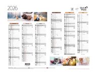 Quo Vadis - Calendrier Fantaisie 6 mois par face - 27 x 21 cm - animaux