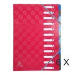 1928 by Exacompta - 6 Trieurs extensibles 12 positions - framboise