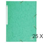 Exacompta Nature Future - Carpeta de 3 solapas - para A4 - capacidad: 300 hojas - verde