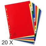 Exacompta - Pack de 20 intercalaires 12 positions numériques - A4 - couleurs assorties