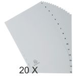 Exacompta - Pack de 20 intercalaires 15 positions numériques - A4 - gris