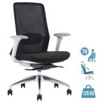 Fauteuil de bureau POLAR - accoudoirs réglables - appuie-tête en option - noir