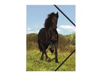 oberthur Cheval BLACK - chemise à 3 rabats - pour A4