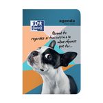 Agenda Funny Pets - 1 jour par page - 12 x 18 cm - chien voisin - Hamelin