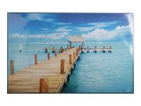 Exacompta - Sous-main Mer - 57,5 x 37,5 cm