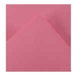 Canson Iris Vivaldi - Papier Dessin Couleur - Lisse - 185 g/m² - Feuille - A3-29,7x42cm - Flamant Rose
