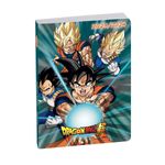 Agenda Dragon Ball S - 1 jour par page - 12 x 17 cm - vert - Exacompta