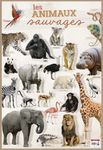 Poster pédagogique Animaux Sauvages - 52 x 76 cm - Bouchut