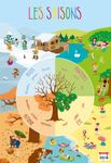 Poster pédagogique Saisons - 52 x 76 cm - Bouchut