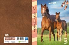 Agenda Animaux - 1 jour par page - 12 x 17 cm - cheval - Bouchut
