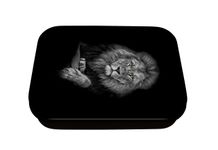 Boite a tout Lion - 11 x 8 cm - Oberthur