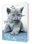 Agenda Chaton - 1 jour par page - 12,5 x 17,5 cm - drôle - Oberthur