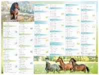 Calendrier Cheval - 7 mois par face - 21 x 26,5 cm - Oberthur