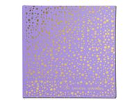 Exacompta Plum' - Album photos 25 x 25 cm - 30 pages - violet