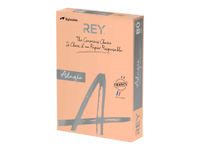 Rey Adagio - Papier couleur - A3 (297 x 420 mm) - 160 g/m² - Ramette de 250 feuilles - saumon