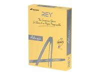 Rey Adagio - Papier couleur - A4 (210 x 297 mm) - 160 g/m² - Ramette de 250 feuilles - bouton d'or