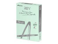 Rey Adagio - Papier couleur - A4 (210 x 297 mm) - 160 g/m² - Ramette de 250 feuilles - vert