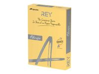 Rey Adagio - Papier couleur - A3 (297 x 420 mm) - 160 g/m² - Ramette de 250 feuilles - bouton d'or