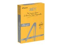 Rey Adagio - Papier couleur - A4 (210 x 297 mm) - 160 g/m² - Ramette de 250 feuilles - abricot