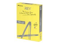Rey Adagio - Papier couleur - A4 (210 x 297 mm) - 160 g/m² - Ramette de 250 feuilles - jaune