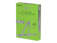 Rey Adagio - Papier couleur - A4 (210 x 297 mm) - 160 g/m² - Ramette de 250 feuilles - vert intense