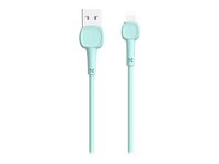 M.TK TB1220 - câble Lightning vers USB-A - 1 m - vert