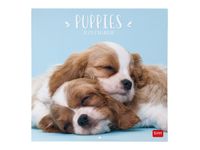 Legami - Calendrier mensuel - 30 x 29 cm - chiots
