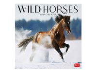 Legami - Calendrier mensuel - 30 x 29 cm - chevaux sauvages