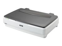 Epson Expression 12000XL - scanner à plat A3 - 2400 dpi x 4800 dpi - USB 2.0