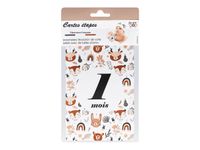 Color Pop - 12 Cartes évolution 1ère année enfant - 10 x 15 cm