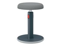 Leitz Ergo - Tabouret ergonomique assis/debout - hauteur réglable jusqu'à 79 cm - Gris 