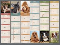 Calendrier bancaire illustré année civile BOUCHUT "Humour chien Medium" 32 x 42 cm Pefc 70 %